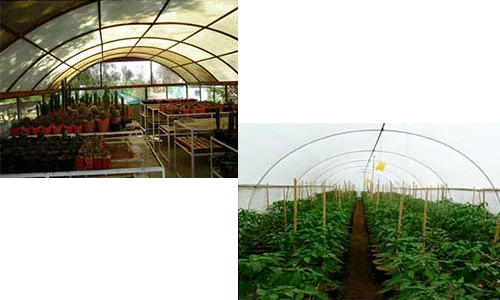 Áreas Experimentales