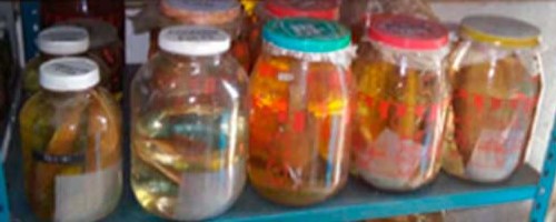 Colección de Peces Continentales y Laboratorio de Ictiología y Acuacultura