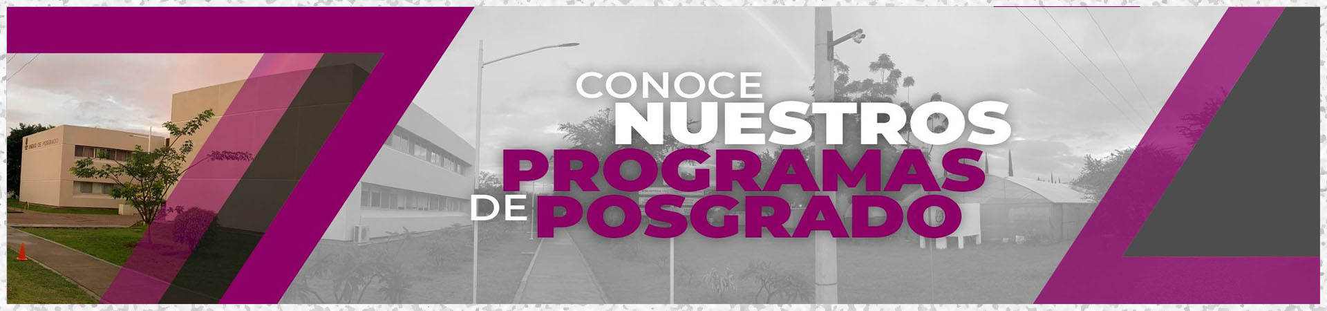 Oferta educativa