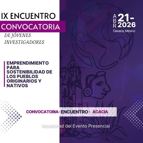IX Encuentro de Jóvenes Investigadores