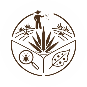 Sistemas de cultivo, plagas y enfermedades