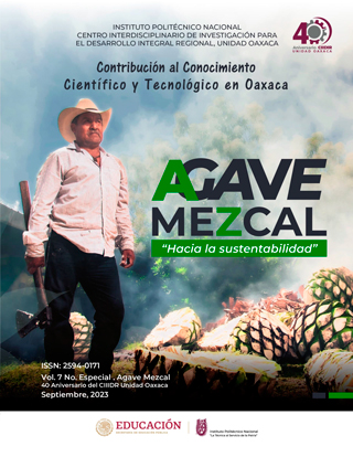 Volumen 7 No. Especial Agave Mezcal