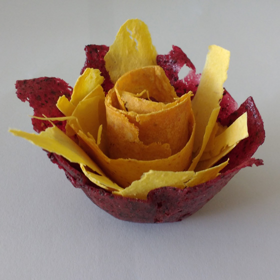 Flor de frutos deshidratados