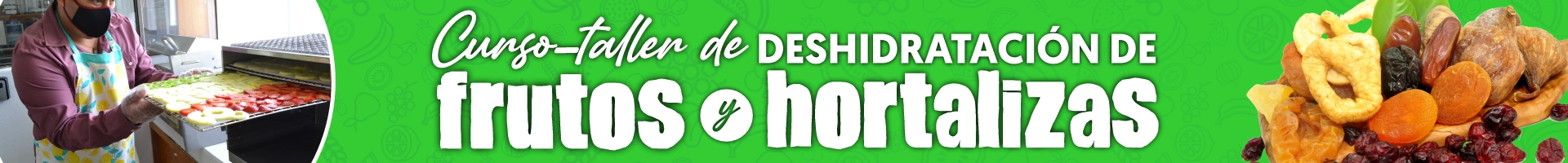 Curso-taller de deshidratación