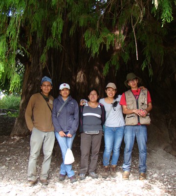 En Santa María Tindú, Oaxaca