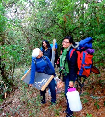 Trabajo de campo en San Andrés Solaga, Oaxaca