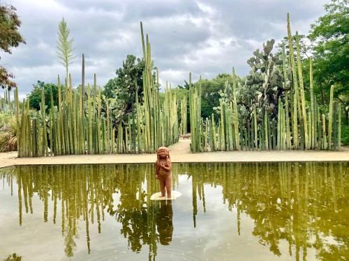Jardín Etnobotánico 