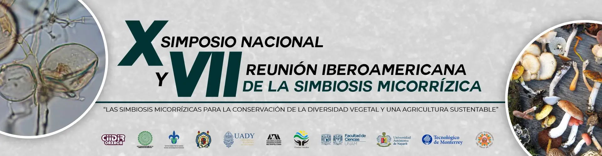  X Simposio Nacional y VII Reunión Iberoamericana de la Simbiosis Micorrízica Comite