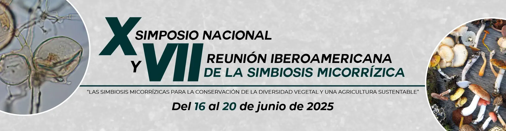  X Simposio Nacional y VII Reunión Iberoamericana de la Simbiosis Micorrízica